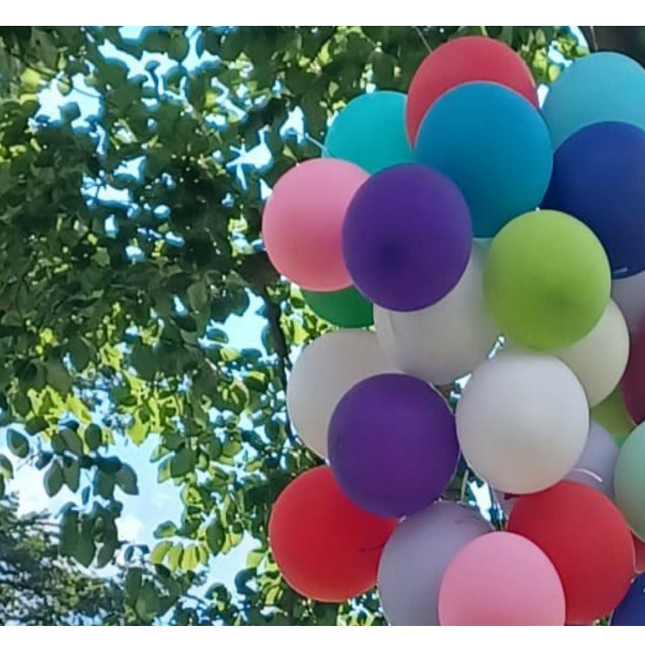 Luftballons. Foto: KG Hittfeld