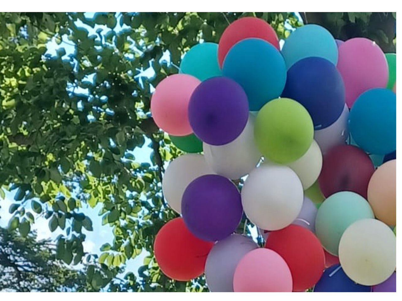 Luftballons. Foto: KG Hittfeld